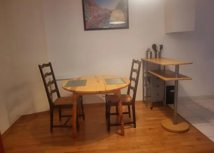 Appolon 公寓 科尔马